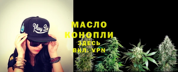 гидра Майский