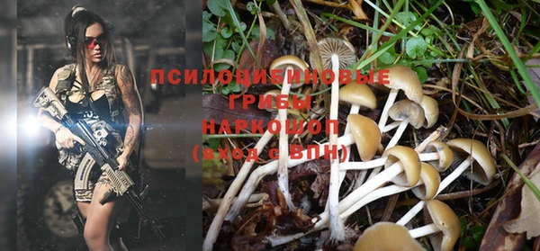 PSILOCYBIN Богородск