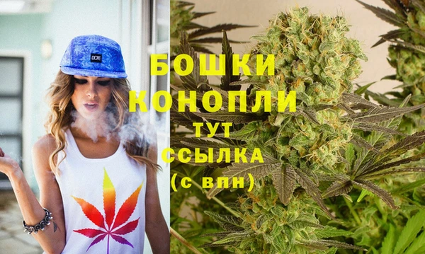 стафф Братск