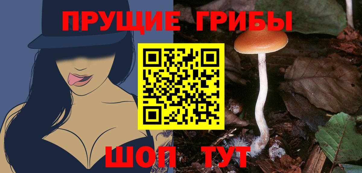 Галлюциногенные грибы GOLDEN TEACHER  Вход с VPN  Новочебоксарск 