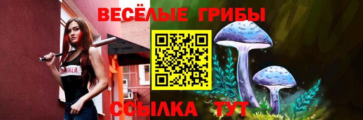 КОКАИН  Хэш  Каннабис  МДМА  МЕФ  Новочебоксарск  APVP  Вход с VPN  Диски 